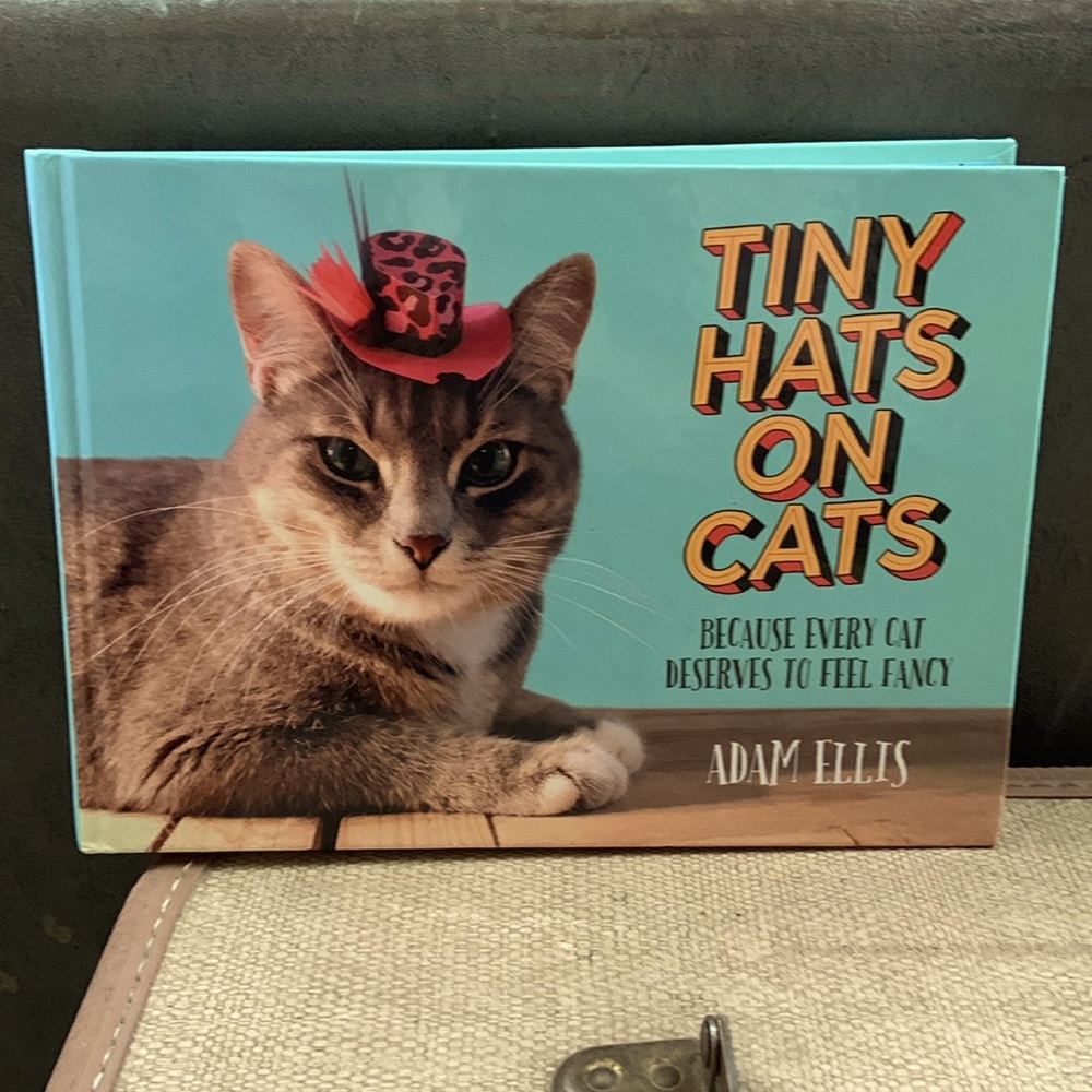 Tiny Hats on Cats book